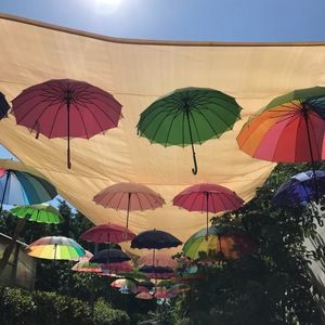 Meet your Posher, Madelyn